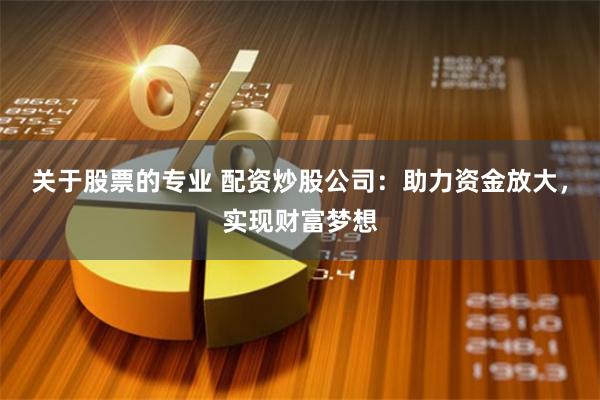 关于股票的专业 配资炒股公司:助力资金放大,实现财富梦想