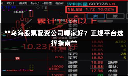 **乌海股票配资公司哪家好？正规平台选择指南**