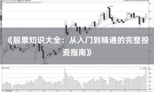 《股票知识大全：从入门到精通的完整投资指南》