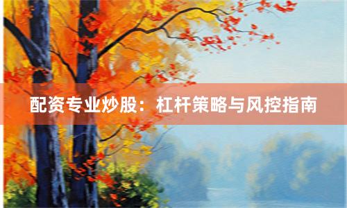配资专业炒股：杠杆策略与风控指南